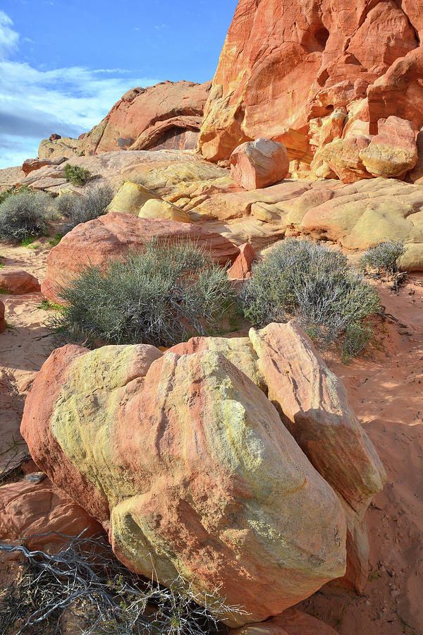 Multicolored Sandstone in Valley of Fire #11 Photograph by Ray Mathis