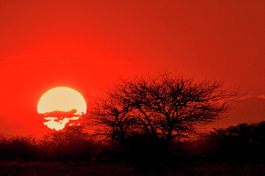 Namibia #10 Photograph by Paul James Bannerman