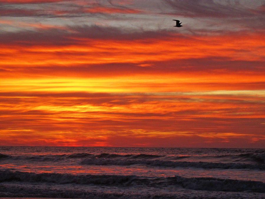 Ocean Sunrise Photograph by Mary McCusker - Fine Art America