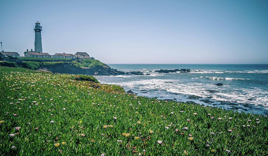 Pigeon Point Lighthouse and landscapes on pacific coast #10 Photograph by Alex Grichenko