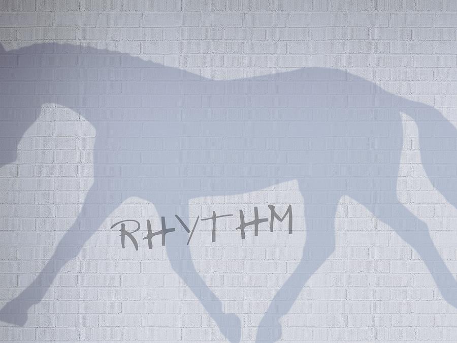 Rhythm Graffiti Art Photograph by Dressage Design