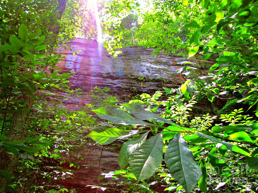 Rim Rock Trail Illinois Photograph by Jessica Anne Fine Art America