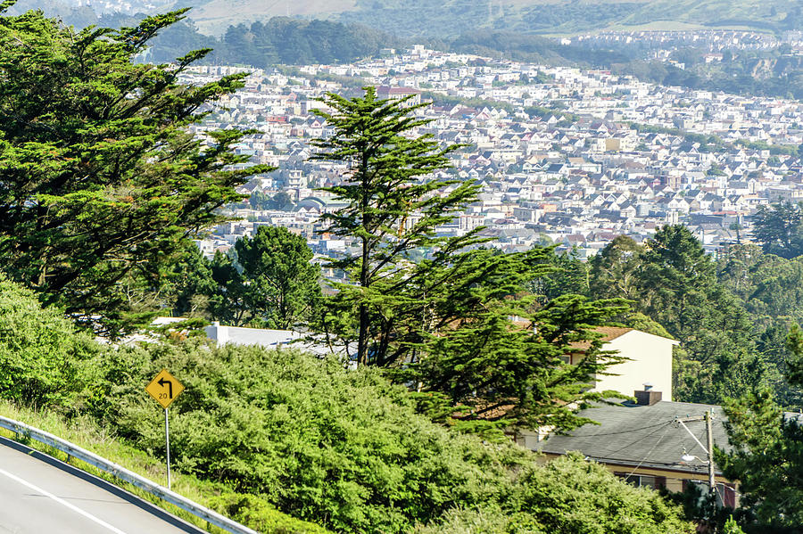 San Francisco City Neighborhoods And Street Views On Sunny Day #10 Photograph by Alex Grichenko