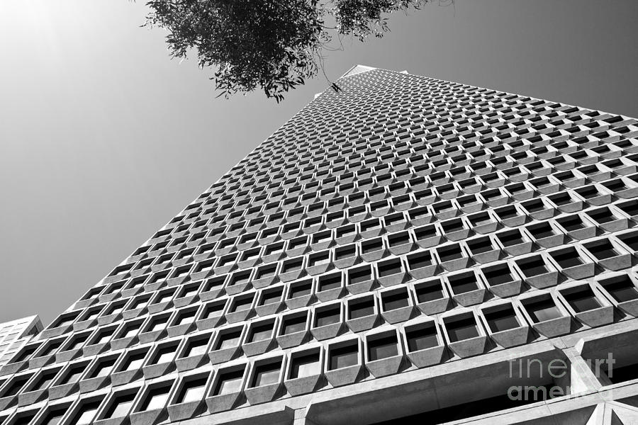 San Francisco Transamerica Pyramid Building #10 Photograph by ELITE IMAGE photography By Chad McDermott
