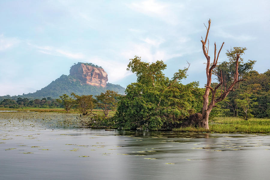 Sigiriya - Sri Lanka #10 Photograph by Joana Kruse