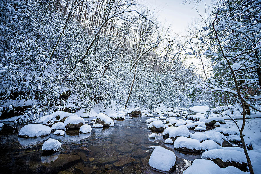 Snow And Ice Covered Mountain Stream #10 Photograph by Alex Grichenko