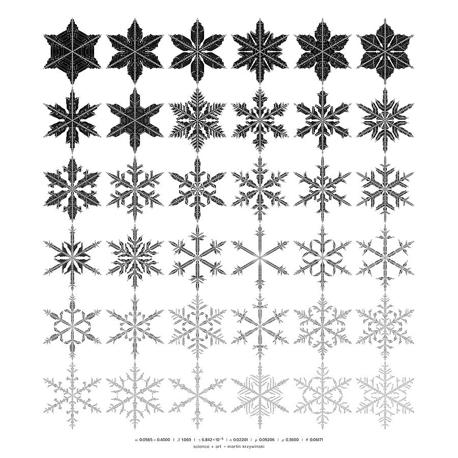 Snowflake simulation #10 Digital Art by Martin Krzywinski