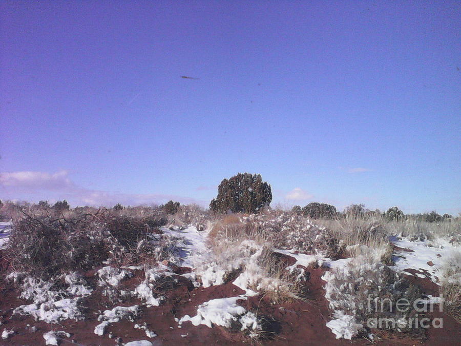 Winter Photograph - Snowy Desert Landscape #10 by Frederick Holiday