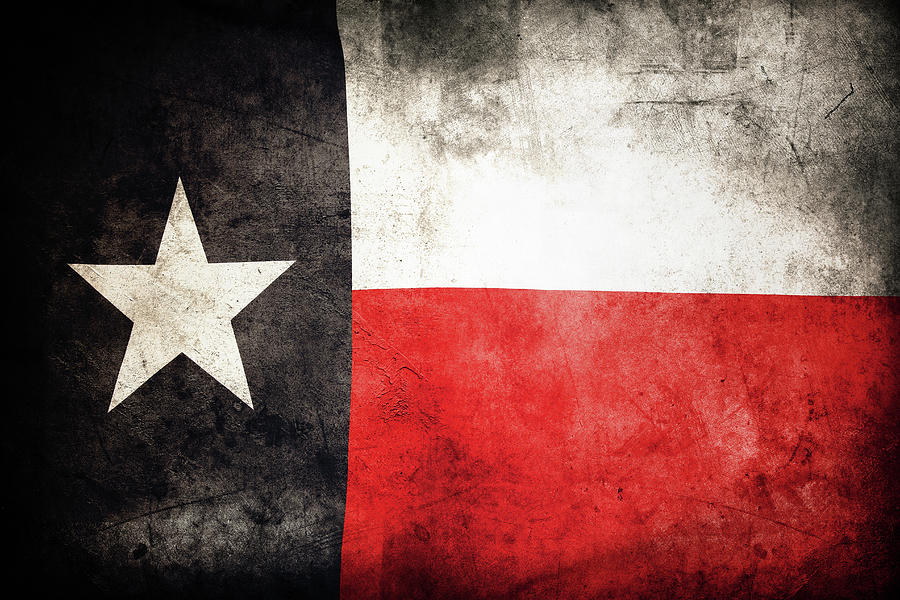 Texas flag 1 Photograph by Les Cunliffe