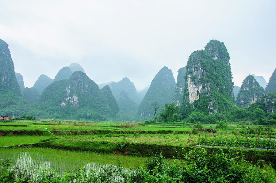 The beautiful karst rural scenery in spring #10 Photograph by Carl Ning