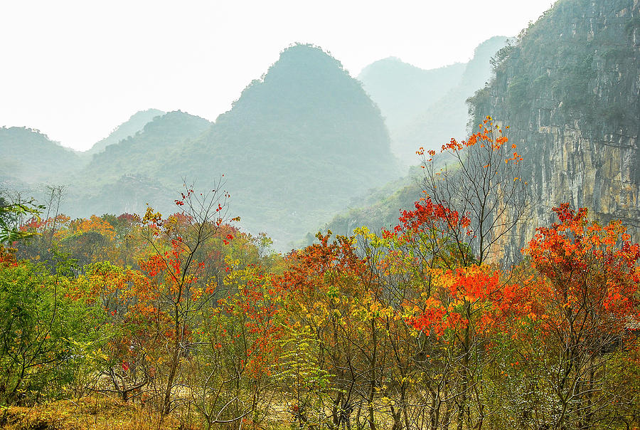 The colorful autumn scenery #10 Photograph by Carl Ning