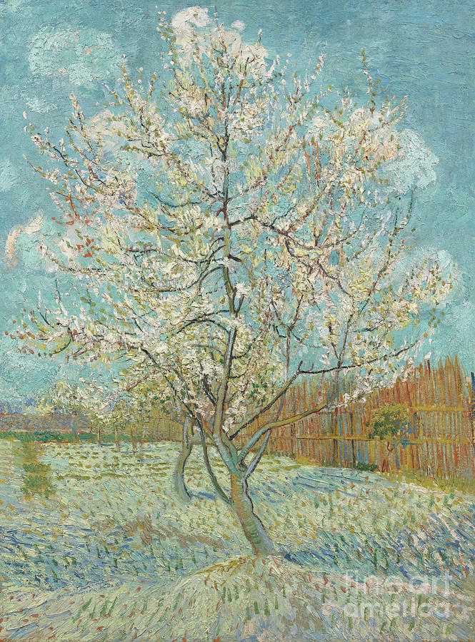 The Pink Peach Tree Painting by Vincent Van Gogh
