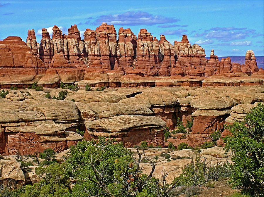 Trail to Chesler Park Viewpoint in  Needles District in  Canyonlands National Park, Utah #10 Photograph by Ruth Hager