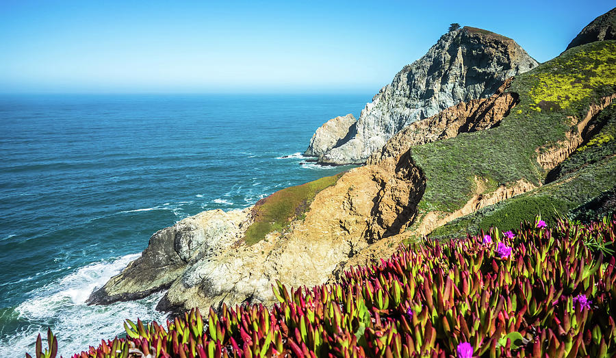 USA California pacific ocean coast shoreline #10 Photograph by Alex Grichenko
