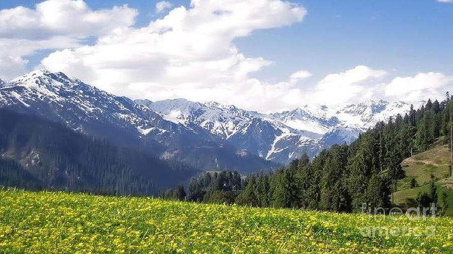 Valley of Swat Pakistan Photograph by Muhammad Nauman - Fine Art America