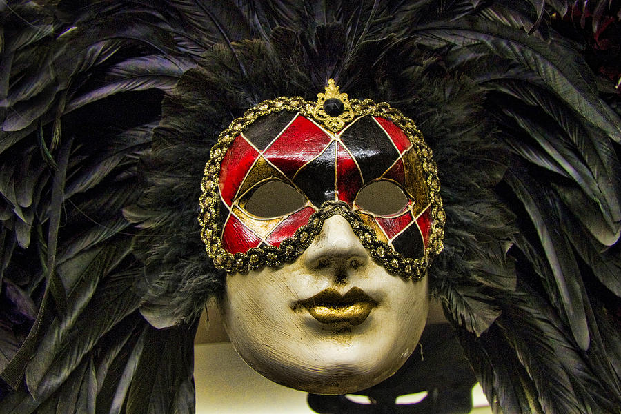 Venetian Carnaval Mask #10 Photograph by David Smith
