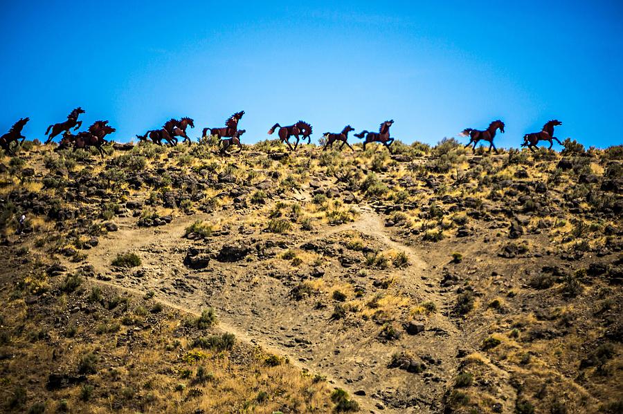Wanapum Lake Colombia River Wild Horses Monument and canyons #10 Photograph by Alex Grichenko