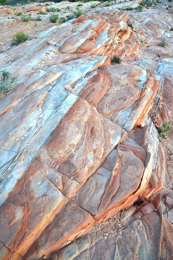 Waves of Color in Valley of Fire #1 Photograph by Ray Mathis