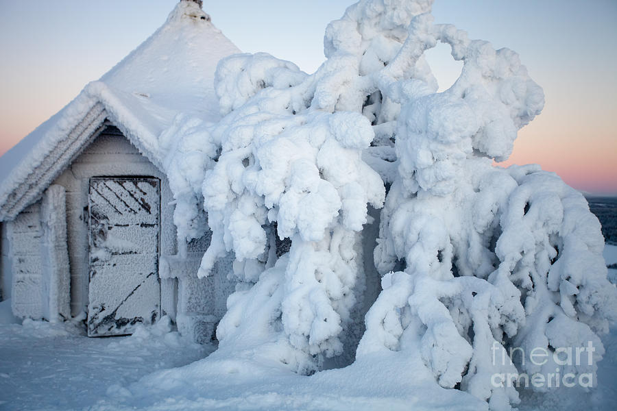 Winter in Lapland Finland #10 Photograph by Kati Finell