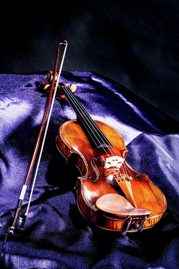 100 .1841 Violin by Jean Baptiste Vuillaume Photograph by M K Miller