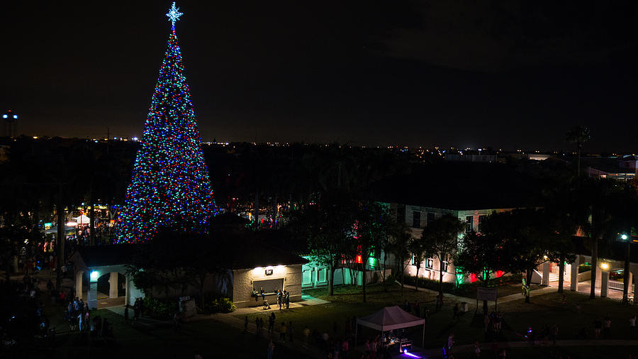 100 Foot Christmas Tree Photograph by Lawrence S Richardson Jr