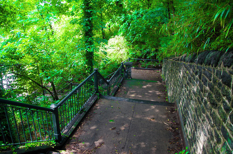 100 Steps - Wissahickon Photograph by Bill Cannon