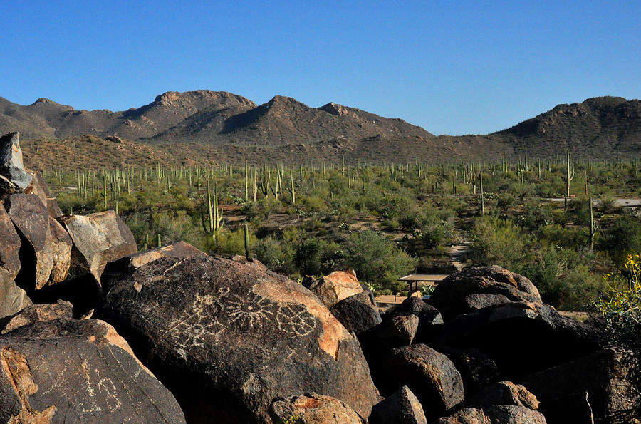 1000 Year Old Hieroglyphics in Saguaro National Forest Photograph by Diane Lent