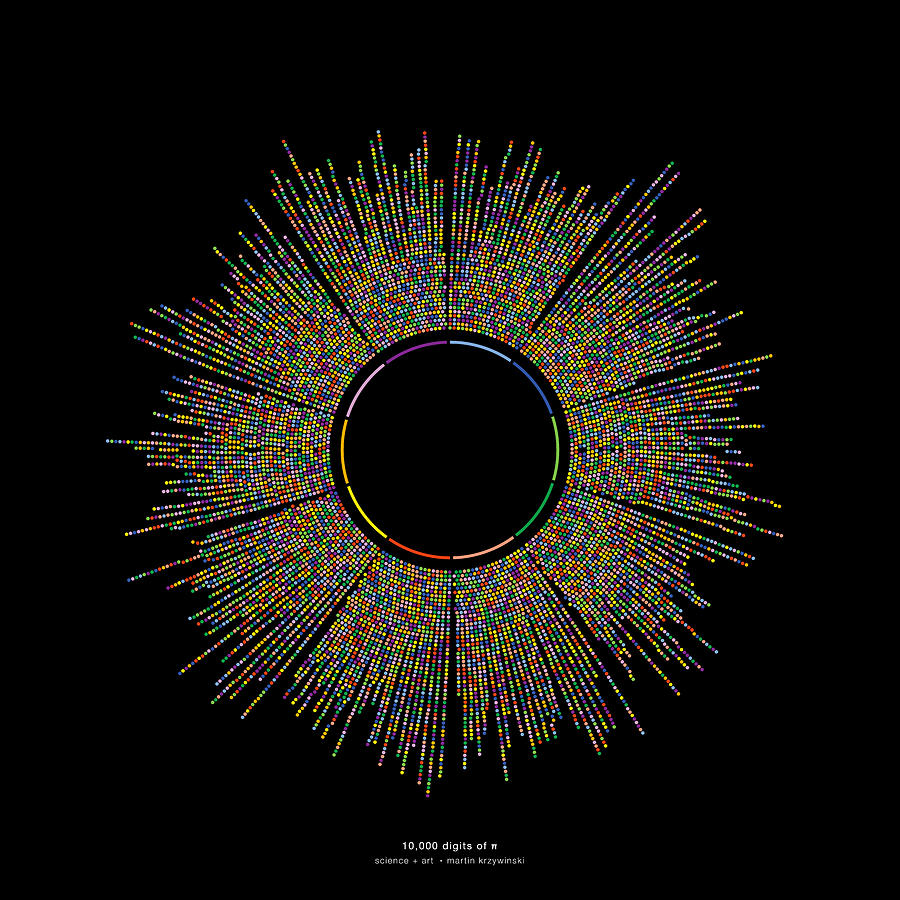 Flowers Still Life Digital Art - 10000 digits of Pi by Martin Krzywinski