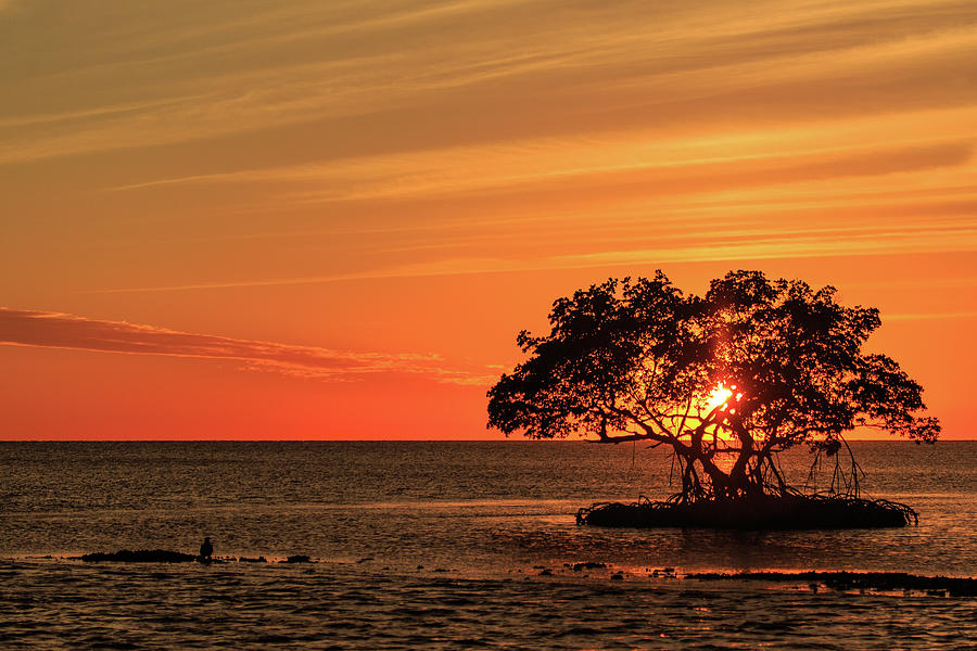 10000 Islands NWR Sunset Photograph by Stefan Mazzola