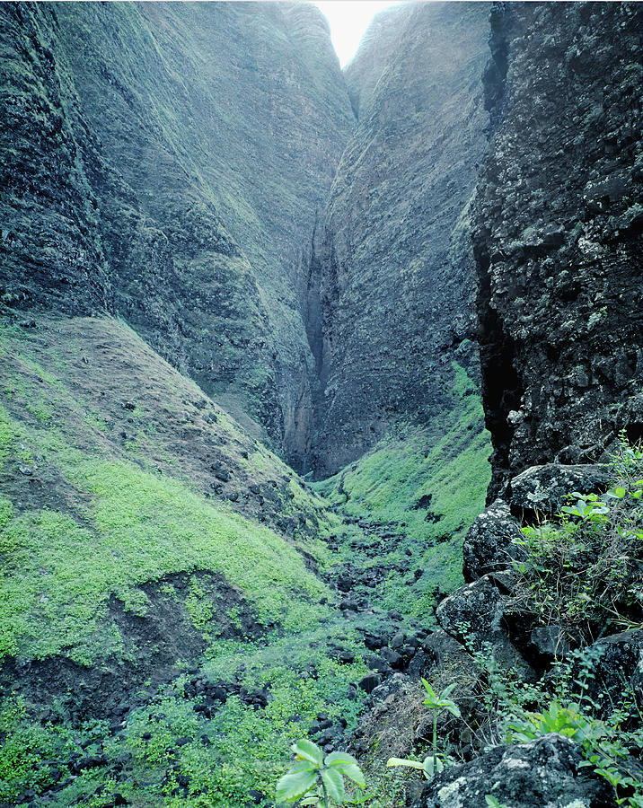 100186 Vertical Headwall Na Pali Coast Photograph by Ed Cooper Photography