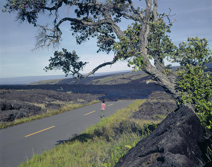 100924 Lava Covered Road HI Photograph by Ed Cooper Photography