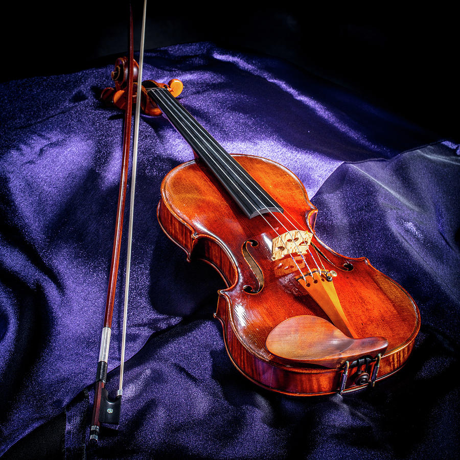 101 .1841 Violin by Jean Baptiste Vuillaume Photograph by M K Miller