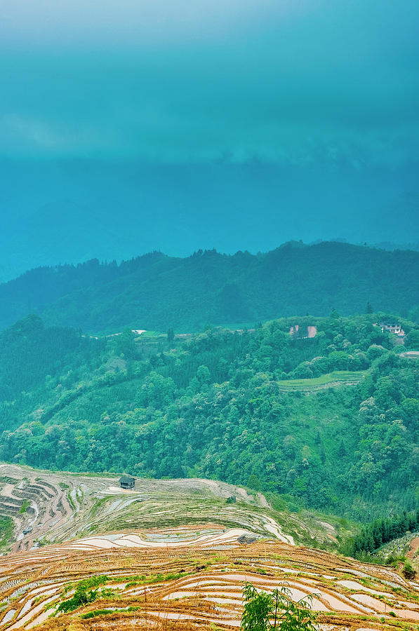 Longji terraced fields scenery #101 Photograph by Carl Ning