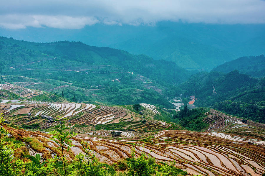 Longji terraced fields scenery #102 Photograph by Carl Ning
