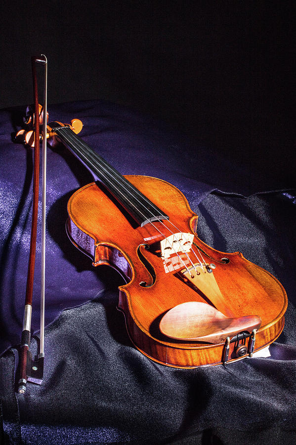 106 .1841 Violin by Jean Baptiste Vuillaume Photograph by M K Miller