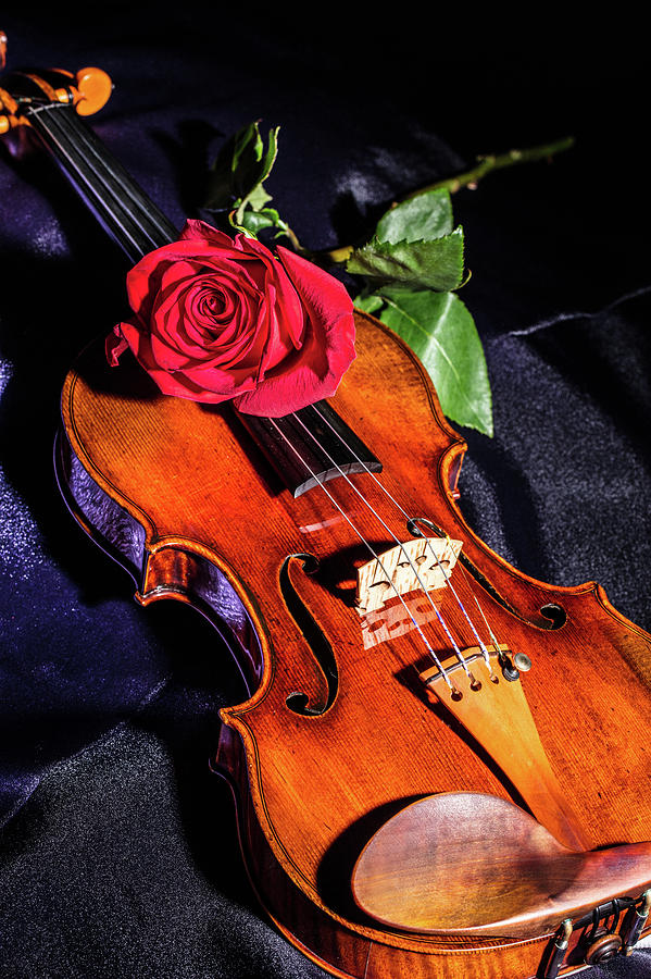 107 .1841 Violin by Jean Baptiste Vuillaume Photograph by M K Miller