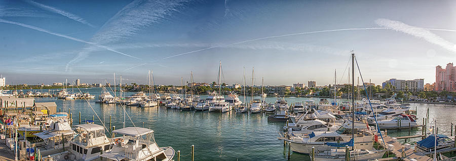 10880 Clearwater Marina Photograph by Pamela Williams