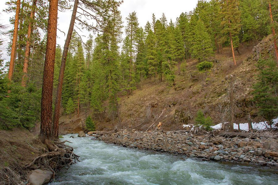 10895 Hells Canyon Spring Stream Photograph by Pamela Williams