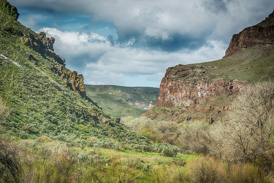 10901 Owyhee Canyon Photograph by Pamela Williams