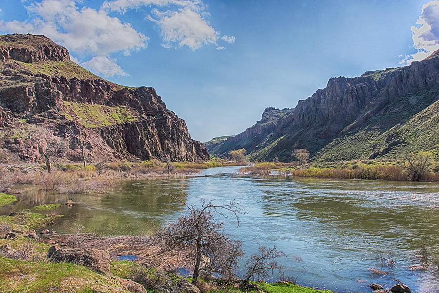 Nature Photograph - 10905 Oregons Owyhee River   by Pamela Williams