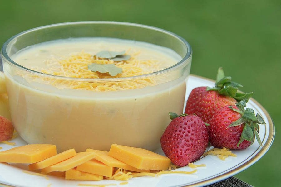 10974 Cheese Soup Photograph by Pamela Williams