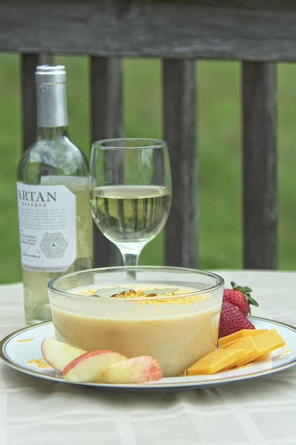 10979 Wine and Cheese Soup Photograph by Pamela Williams