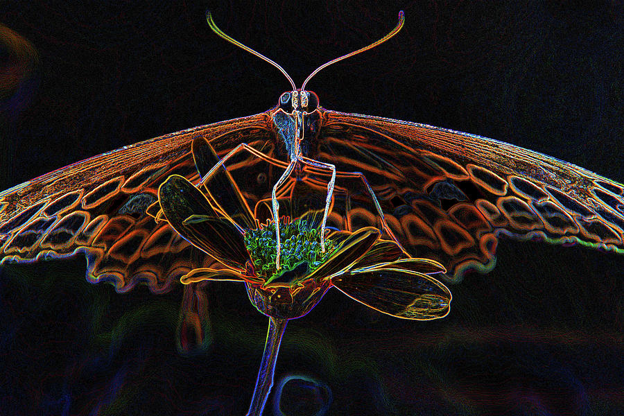 10990 Neon Butterfly Mixed Media by Pamela Williams