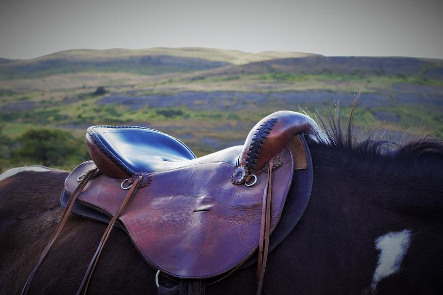 Patagonia Horse and Saddle Photograph by Mark Mitchell