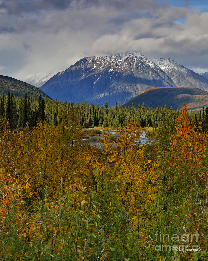Alaska #11 Photograph by Steve Javorsky