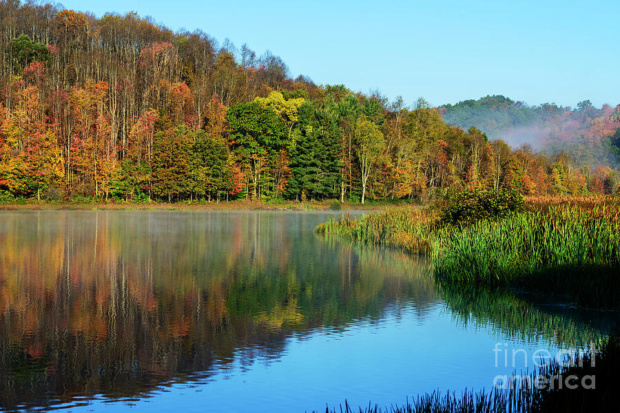 Autumn Mist on Lake #11 Photograph by Thomas R Fletcher