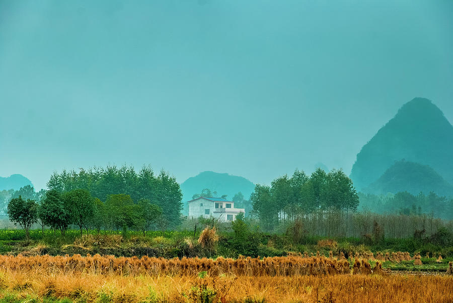 Beautiful countryside scenery in autumn #11 Photograph by Carl Ning