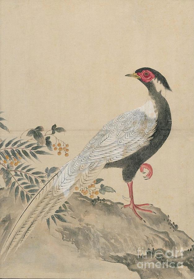 Birds of Japan in the 19th century #11 Painting by Celestial Images