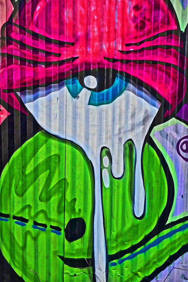 Bushwick Brooklyn Graffitti #11 Photograph by Joan Reese