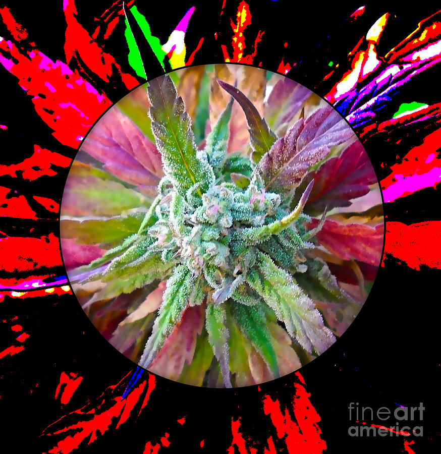 Cool Mixed Media - Cannabis 420 Collection #11 by Marvin Blaine